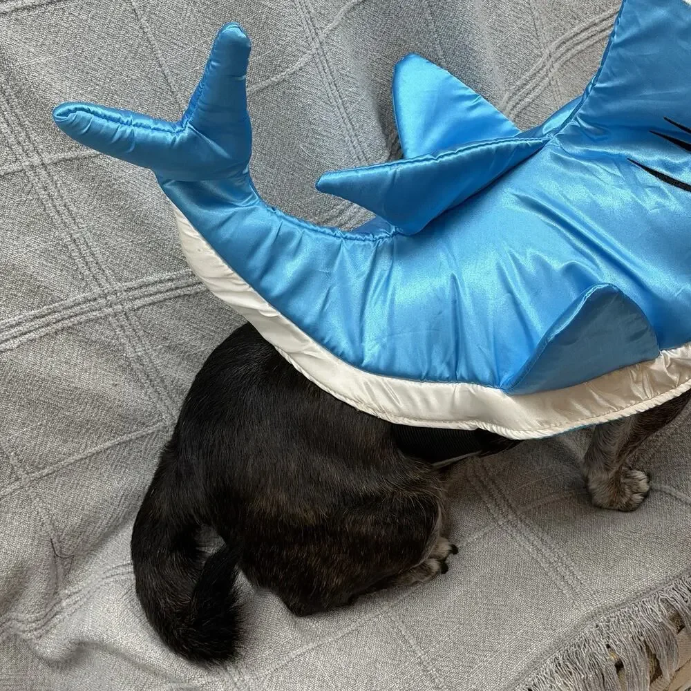 Shiny Blue SHARK Halloween Dog Costume Size Small Pet Dress Up Fin Teeth Funny